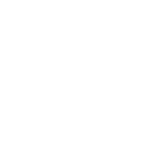 experience-logo